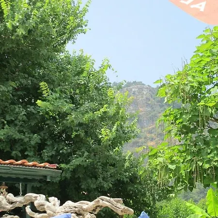 Club Mel 말마리스